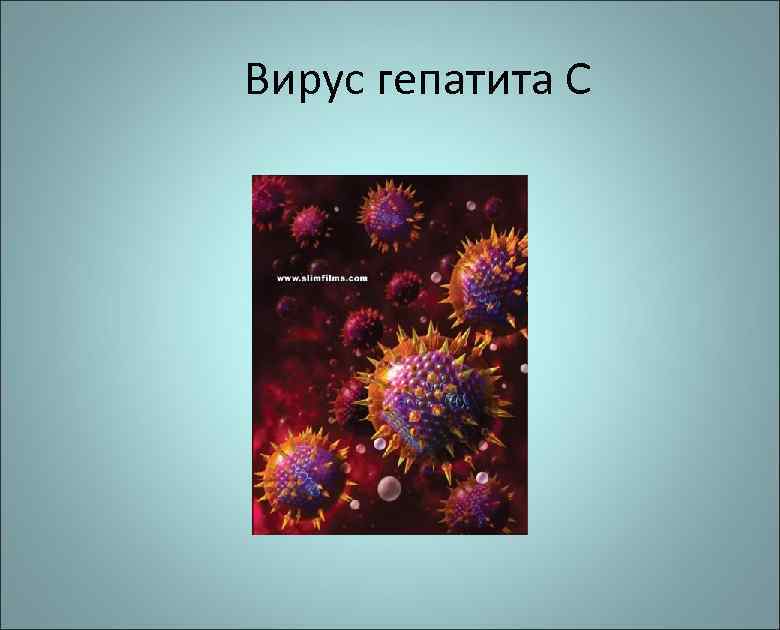 Вирус гепатита С 