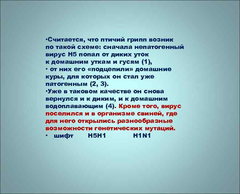  • Считается, что птичий грипп возник по такой схеме: сначала непатогенный вирус H
