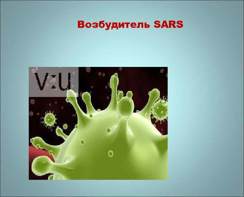 Возбудитель SARS 
