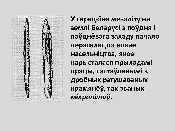 У сярэдзіне мезаліту на землі Беларусі з поўдня і паўднёвага захаду пачало перасяляцца новае