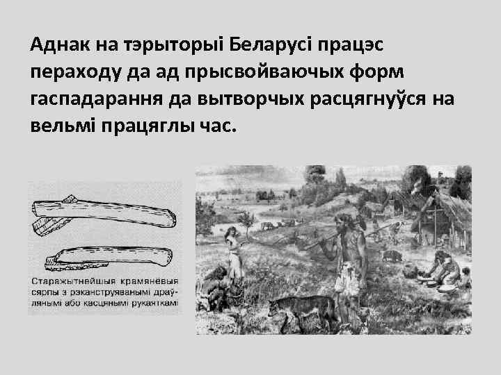 Аднак на тэрыторыі Беларусі працэс пераходу да ад прысвойваючых форм гаспадарання да вытворчых расцягнуўся