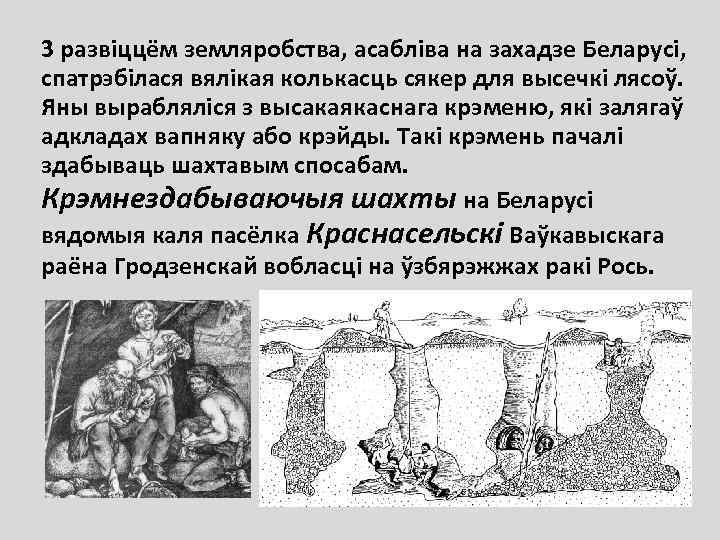 3 развіццём земляробства, асабліва на захадзе Беларусі, спатрэбілася вялікая колькасць сякер для высечкі лясоў.