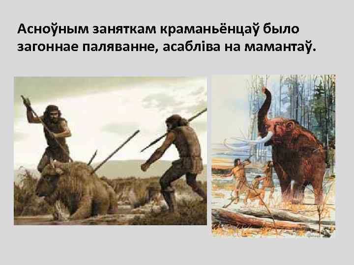 Асноўным заняткам краманьёнцаў было загоннае паляванне, асабліва на мамантаў. 