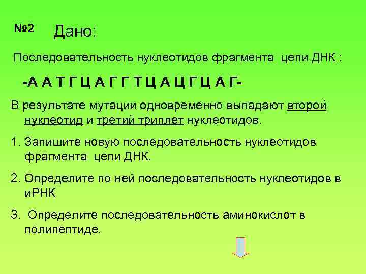 № 2 Дано: Последовательность нуклеотидов фрагмента цепи ДНК : -А А Т Г Ц