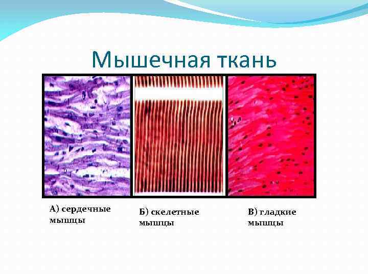 Мебельные ткани свойства ткани