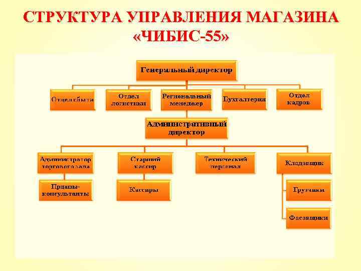 СТРУКТУРА УПРАВЛЕНИЯ МАГАЗИНА «ЧИБИС-55» 