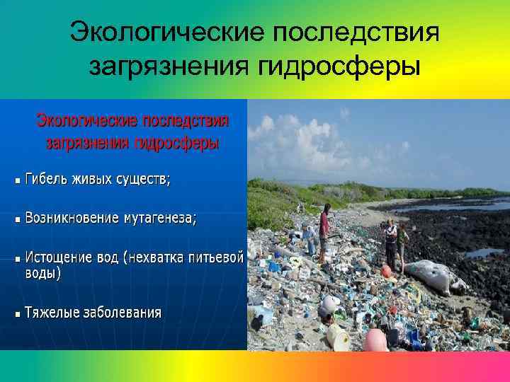 Экологические последствия загрязнения гидросферы 