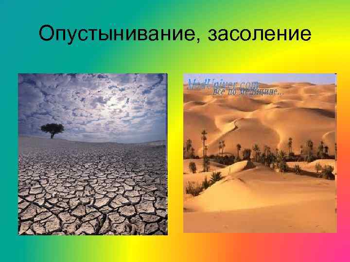 Опустынивание, засоление 