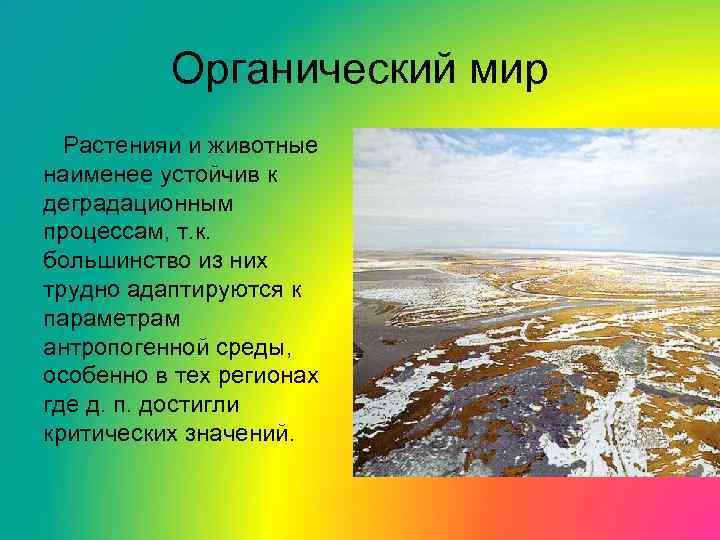 Органический мир Растенияи и животные наименее устойчив к деградационным процессам, т. к. большинство из