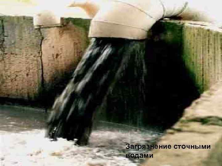 Загрязнение сточными водами 