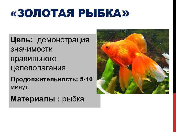  «ЗОЛОТАЯ РЫБКА» Цель: демонстрация значимости правильного целеполагания. Продолжительность: 5 -10 минут. Материалы :