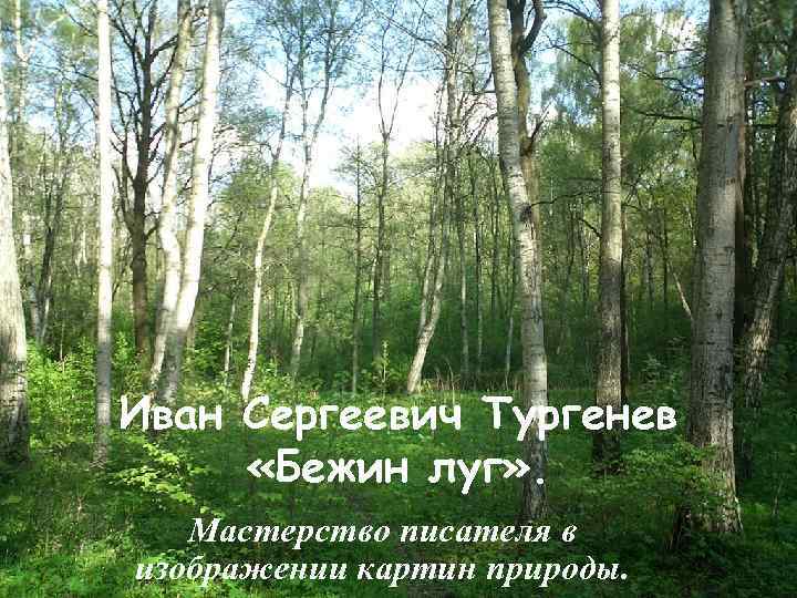 Иван Сергеевич Тургенев «Бежин луг» . Мастерство писателя в изображении картин природы. 