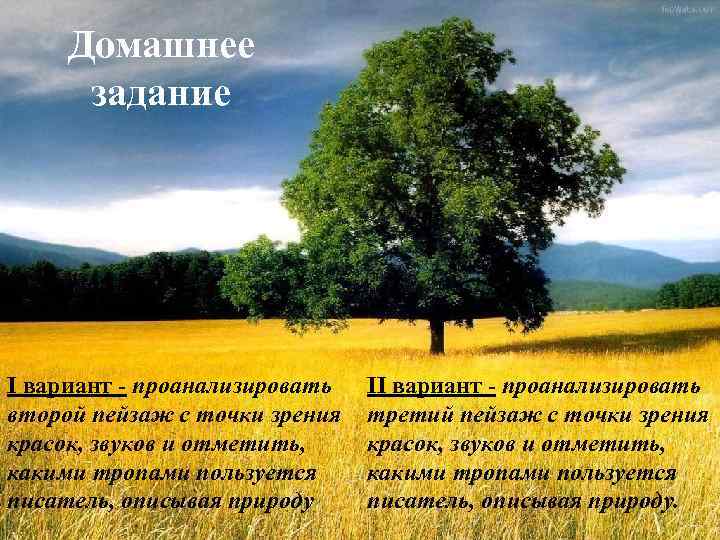 Домашнее задание I вариант - проанализировать второй пейзаж с точки зрения красок, звуков и