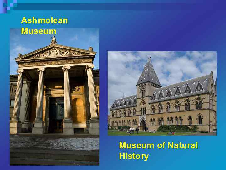 Ashmolean Museum of Natural History 
