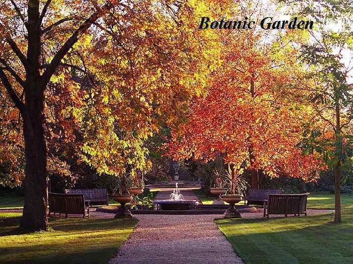 Botanic Garden 