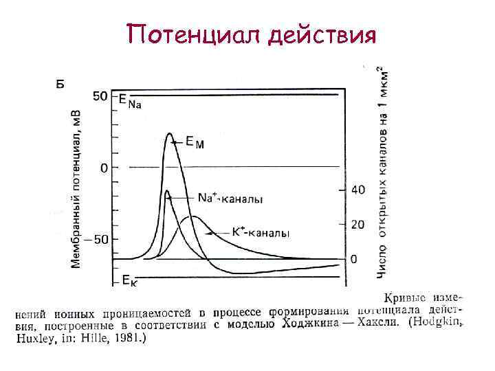 Характеристики потенциалу