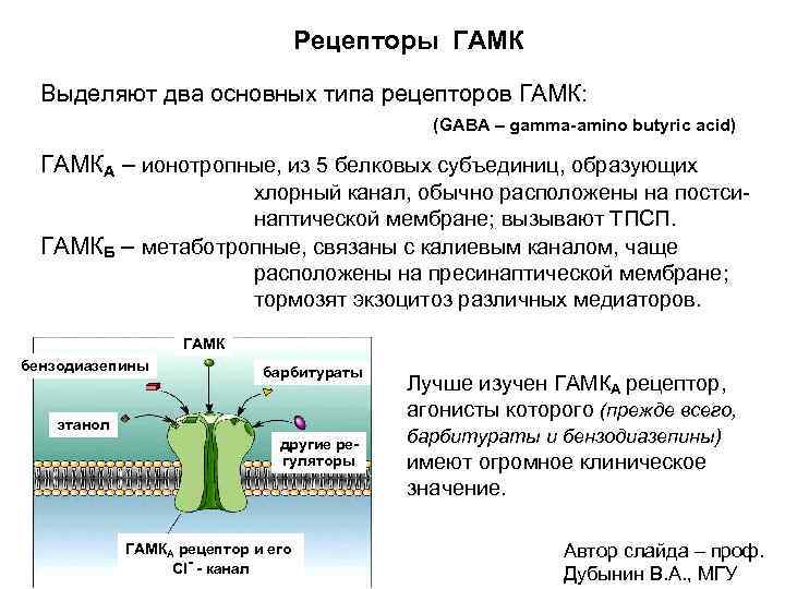 Рецепторы ГАМК Выделяют два основных типа рецепторов ГАМК: (GABA – gamma-amino butyric acid) ГАМКА