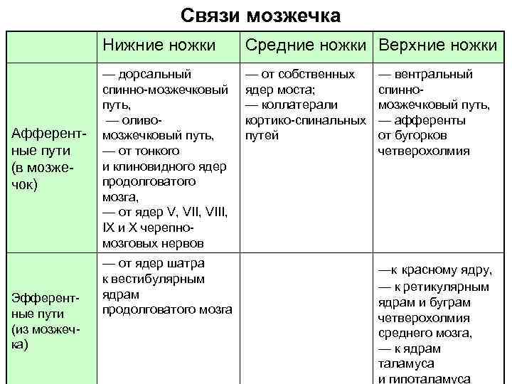 Связи мозжечка Нижние ножки Афферентные пути (в мозжечок) Эфферентные пути (из мозжечка) Средние ножки