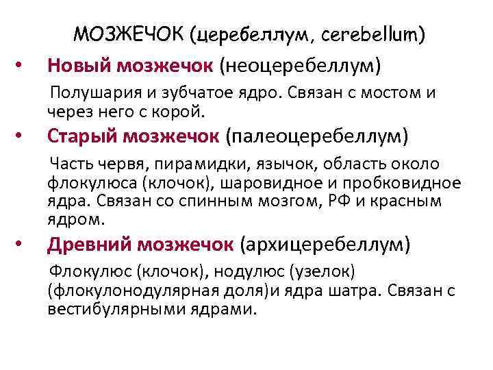 МОЗЖЕЧОК (церебеллум, cerebellum) • Новый мозжечок (неоцеребеллум) Полушария и зубчатое ядро. Связан с мостом