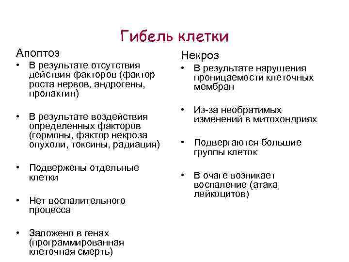 Гибель клетки Апоптоз • В результате отсутствия действия факторов (фактор роста нервов, андрогены, пролактин)