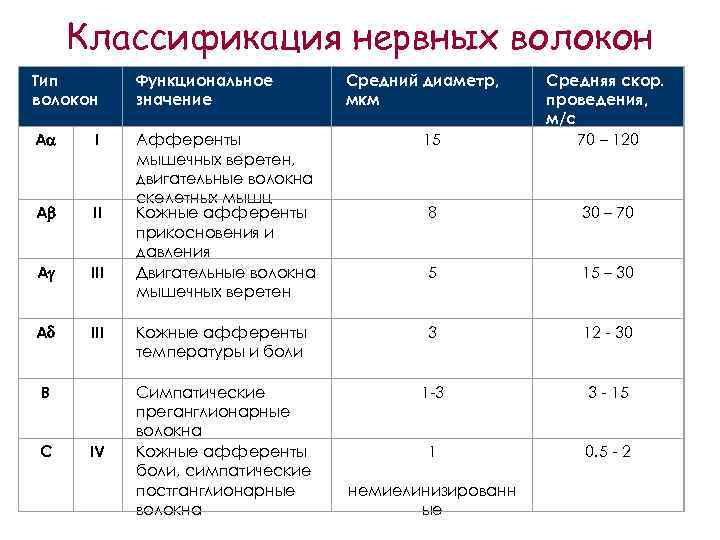 Классификация нервных волокон Тип волокон Функциональное значение Средний диаметр, мкм А I 15 А