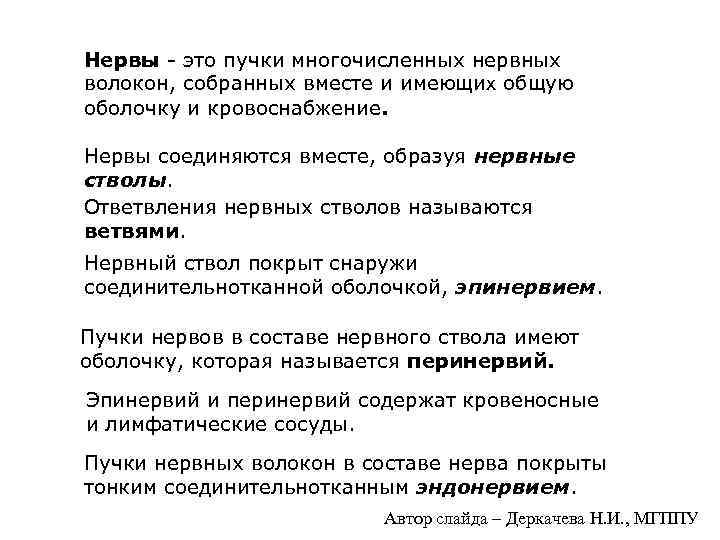 Нервы - это пучки многочисленных нервных волокон, собранных вместе и имеющих общую оболочку и