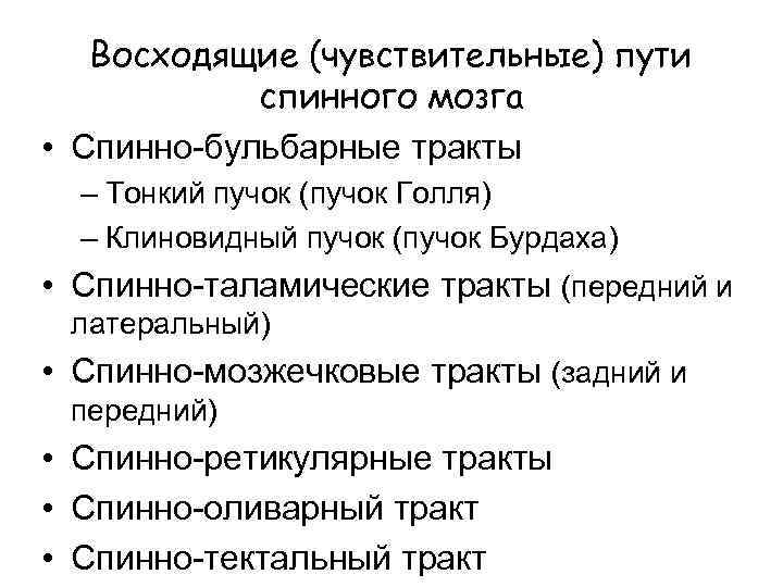 Восходящие (чувствительные) пути спинного мозга • Спинно-бульбарные тракты – Тонкий пучок (пучок Голля) –