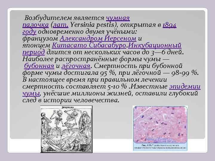  Возбудителем является чумная палочка (лат. Yersinia pestis), открытая в 1894 году одновременно двумя