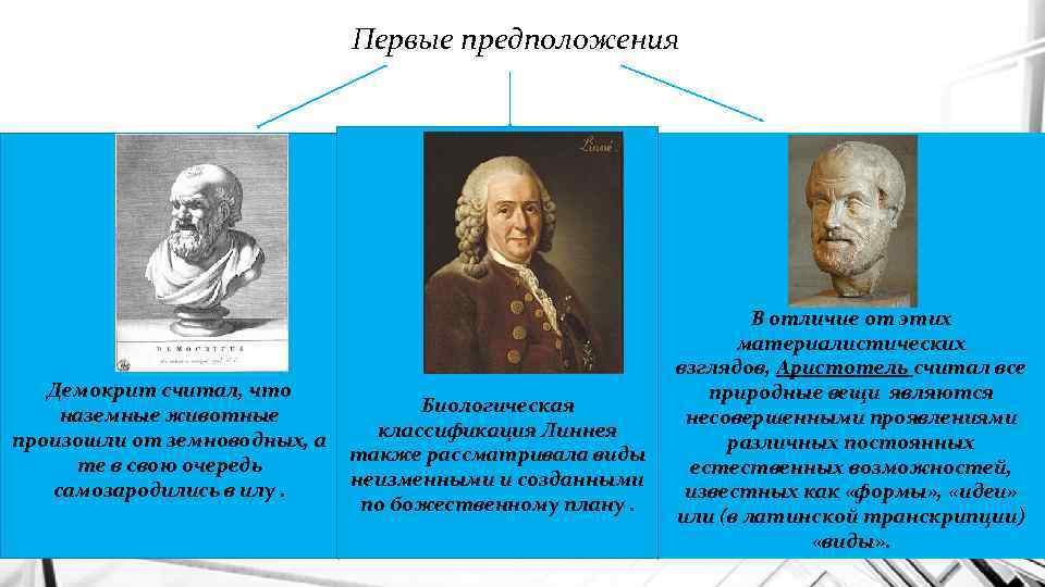 Первые предположения Демокрит считал, что Биологическая наземные животные классификация Линнея произошли от земноводных, а