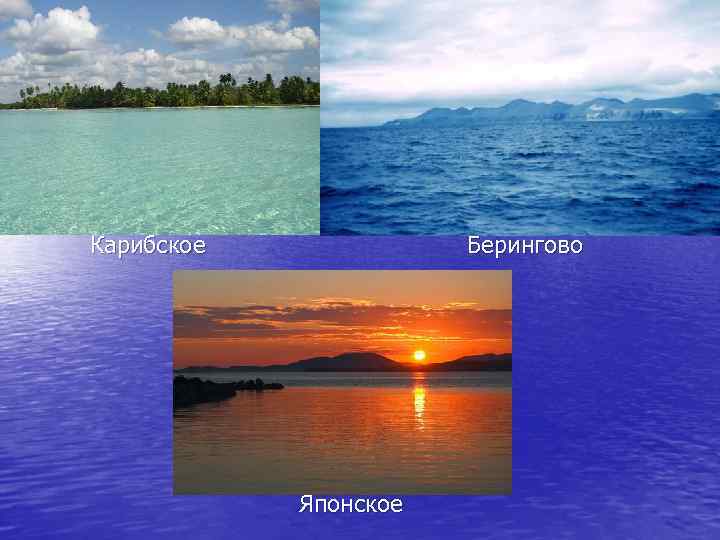  Карибское Берингово Японское 