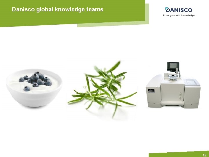 Danisco global knowledge teams 15 