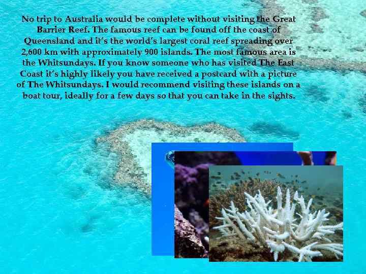 No trip to Australia would be complete without visiting the Great Barrier Reef. The