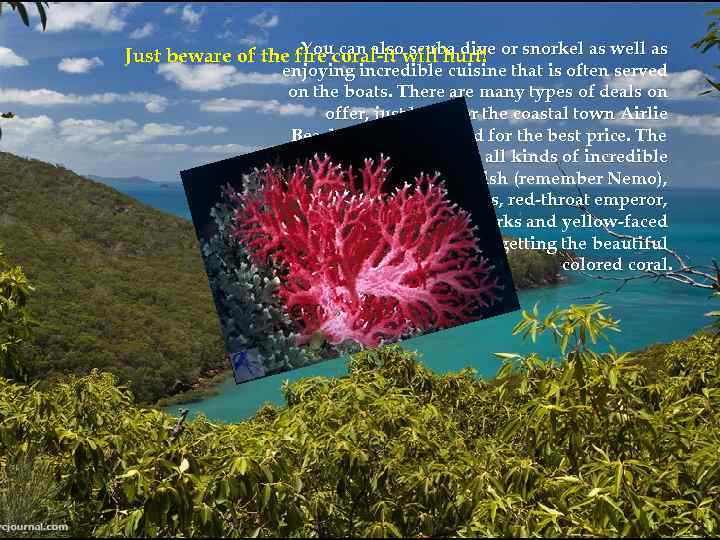 You can also scuba dive Just beware of the fire coral-it will hurt! or