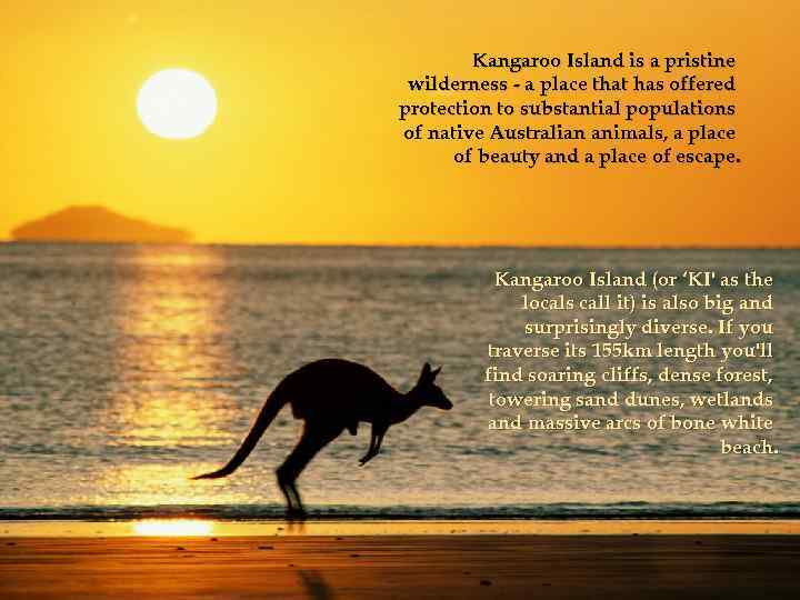 Kangaroo Island is a pristine wilderness - a place that has offered protection to