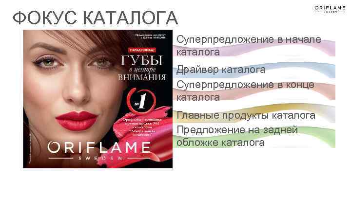 ФОКУС КАТАЛОГА Суперпредложение в начале каталога Драйвер каталога Суперпредложение в конце каталога Главные продукты