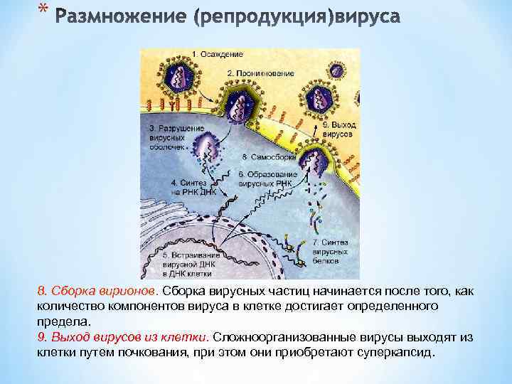 Клетки достижения