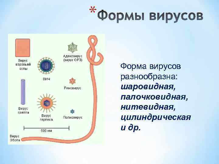Вирусы примеры