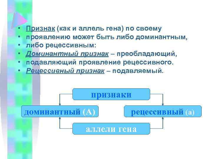  • • • Признак (как и аллель гена) по своему проявлению может быть
