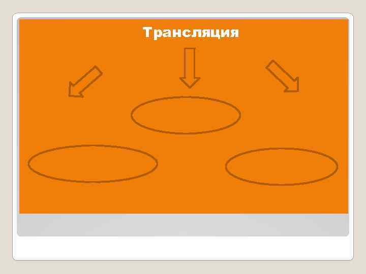  Трансляция 