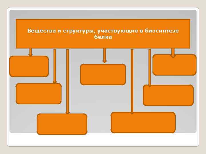 Вещества и структуры, участвующие в биосинтезе белка 