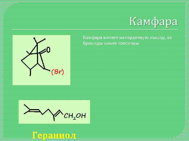 Камфара влияет на сердечную мышцу, ее бромиды менее токсичны Гераниол 