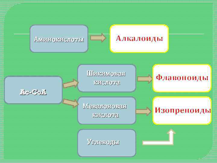 Аминокислоты Алкалоиды Шикимовая кислота Флавоноиды Мевалоновая кислота Изопреноиды Ac-Co. A Углеводы 