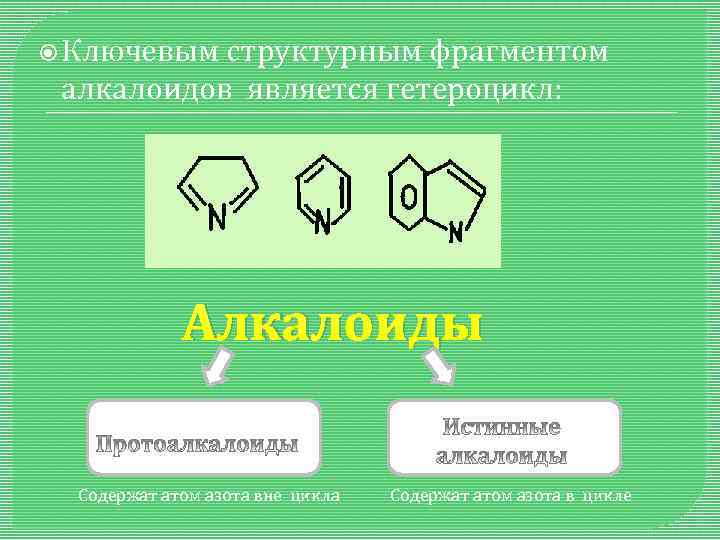  Ключевым структурным фрагментом алкалоидов является гетероцикл: Алкалоиды Содержат атом азота вне цикла Содержат