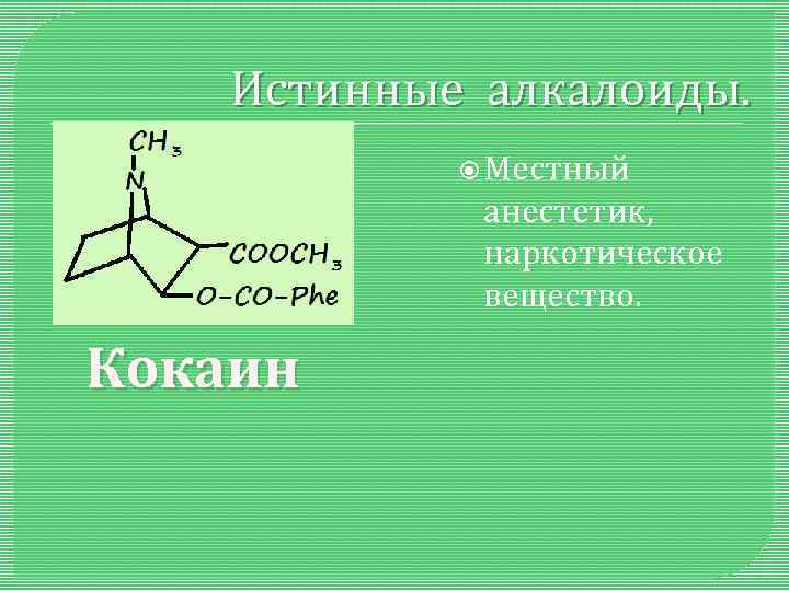 Истинные алкалоиды. Местный анестетик, наркотическое вещество. Кокаин 