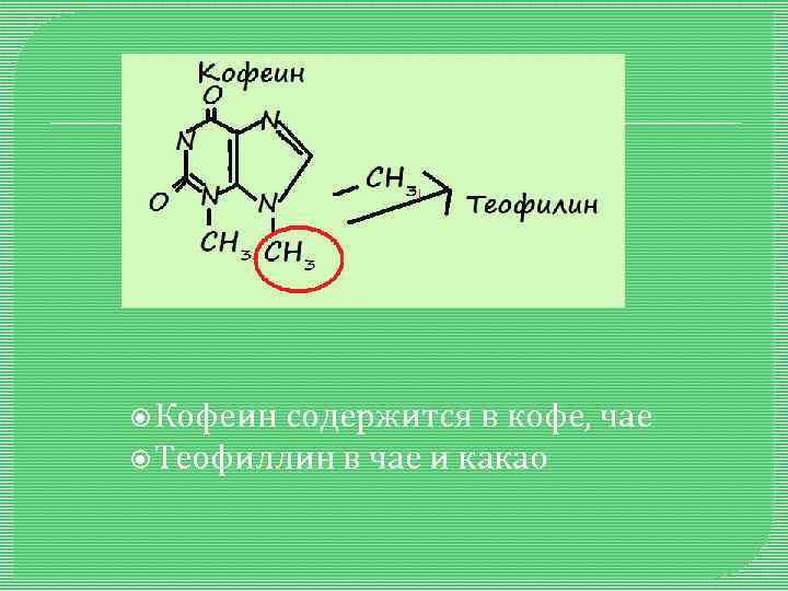  Кофеин содержится в кофе, чае Теофиллин в чае и какао 