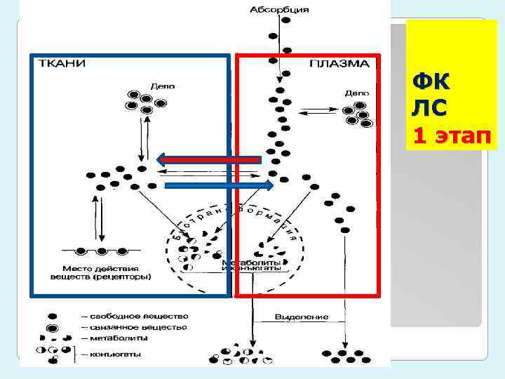 ФК ЛС 1 этап 