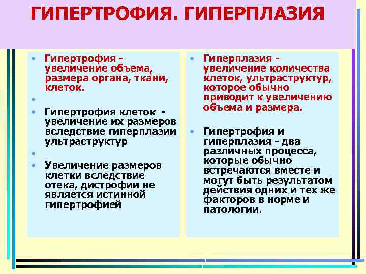 ГИПЕРТРОФИЯ. ГИПЕРПЛАЗИЯ • Гипертрофия увеличение объема, размера органа, ткани, клеток. • • Гипертрофия клеток