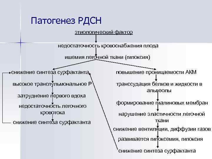 Патогенез РДСН этиологический фактор недостаточность кровоснабжения плода ишемия легочной ткани (гипоксия) снижение синтеза сурфактанта