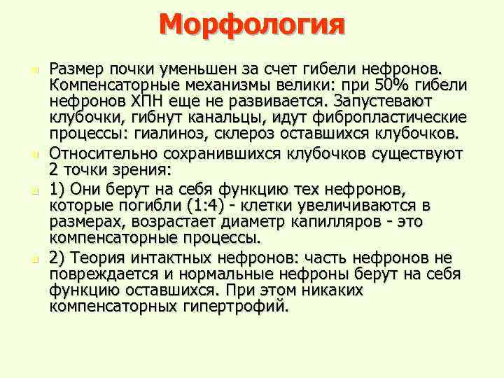Морфология n n Размер почки уменьшен за счет гибели нефронов. Компенсаторные механизмы велики: при