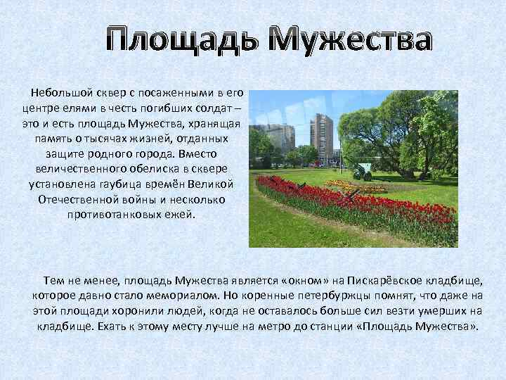 Площадь Мужества Небольшой сквер с посаженными в его центре елями в честь погибших солдат